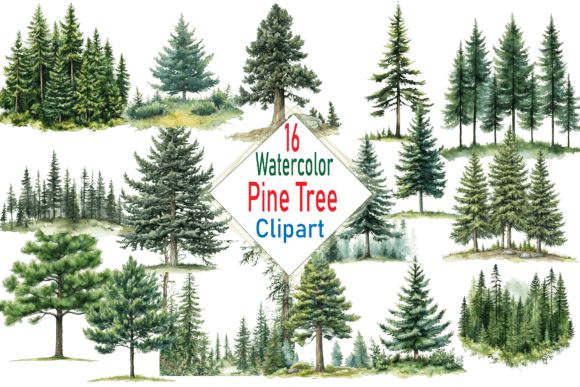 Download Watercolor Pine Trees Clipart PNG Bundle - Bundle Collection