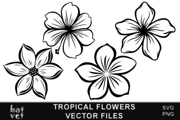 Download Tropical Flower SVG Vector Bundle Design - Bundle Collection